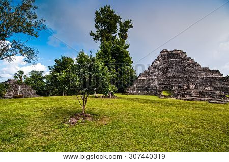 Chacchoben, Mexico - November 21, 2010. Archaeological Site Of Chacchoben In Yucatan Peninsula, Quin