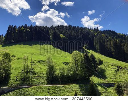 Pastures And Mixed Forests In The Valley Of Wagital Or Waegital And By The Alpine Lake Wagitalersee 
