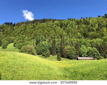 Pastures And Mixed Forests In The Valley Of Wagital Or Waegital And By The Alpine Lake Wagitalersee 