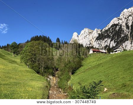 Pastures And Mixed Forests In The Valley Of Wagital Or Waegital And By The Alpine Lake Wagitalersee 