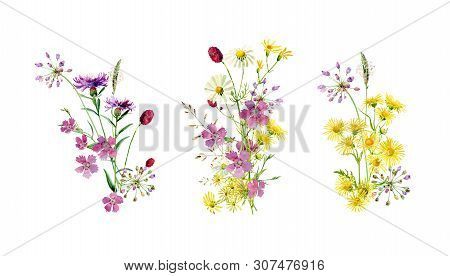 Small Bouquets Of Wild Flowers On A White Background