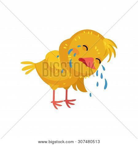 Yellow Cute Chicken Sobbing. Vector Illustration On White Background.