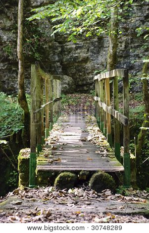 Wooden bridge in the forest
