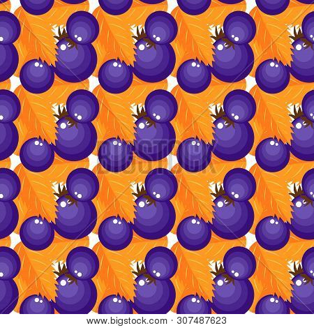 Vector Pattern Purple Berries With Orange Foliage
