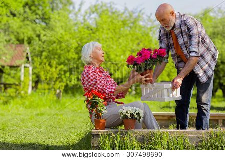 Bearded Husband Helping His Beautiful Wife Taking Care Of Flowers