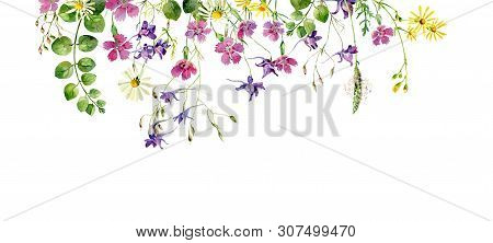 Frame Of Watercolor Wildflowers On A White Background
