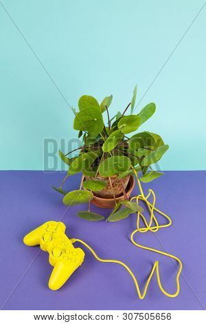 Game Of Plant