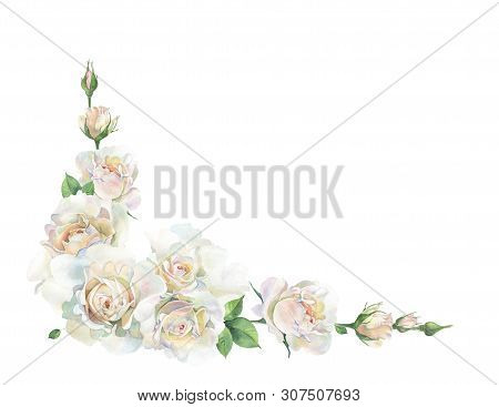 Corner Of Watercolor Pink Roses On A White Background.