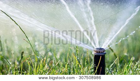 Automatic Sprinkler System Watering The Lawn On A Background Of Green Grass