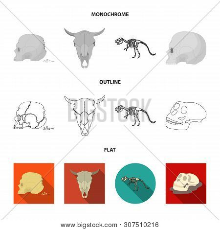 Vector Design Of Skeleton And Character Icon. Set Of Skeleton And Halloween Vector Icon For Stock.
