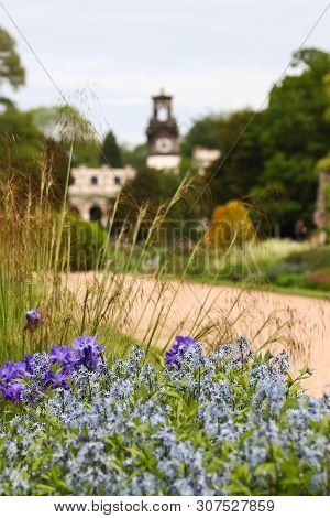 Flowers In The Foreground Of The Ruined Hall At Trentham Estate
