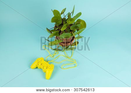 Game Of Plant