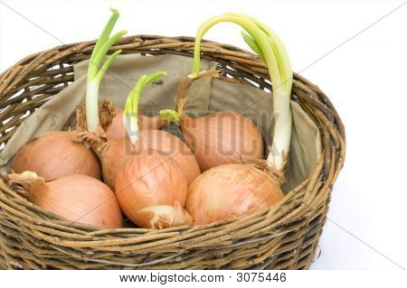 Basket Of Onions