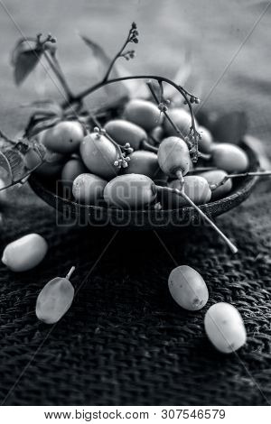 Azadirachta Indica, Commonly Known As Neem, Nimtree Or Indian Lilac, On Jute Bags Surface Along With