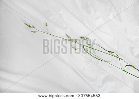 Green Grass Blade On A White Bedlinen. Romantic Summer Bed.