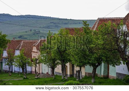 Viscri Village In Transylvania, Romania. Old Rural Saxon Architecture Heritage,  Streets Of Medieval