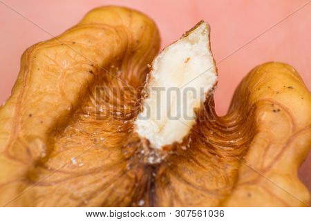 Macro Photo Of Walnuts Details F V