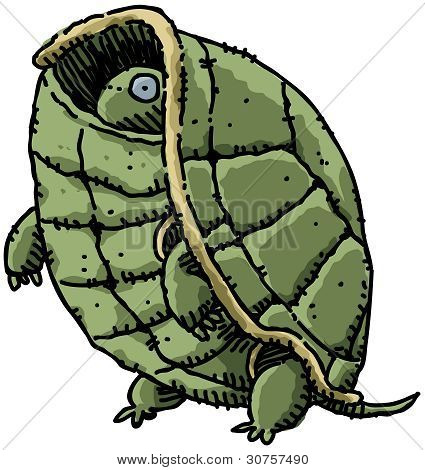 Genert skildpadde