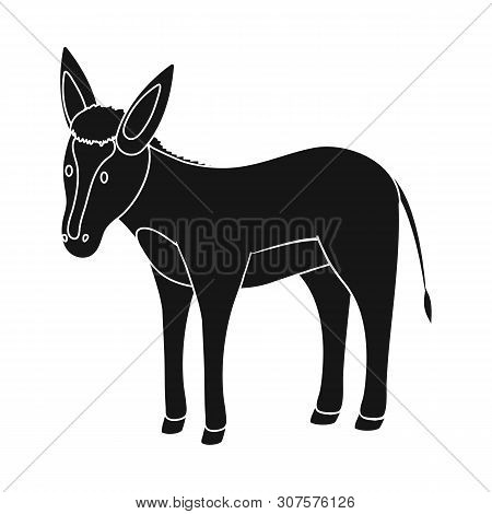 Vector Illustration Of Donkey And Animal Symbol. Collection Of Donkey And Grey Stock Vector Illustra