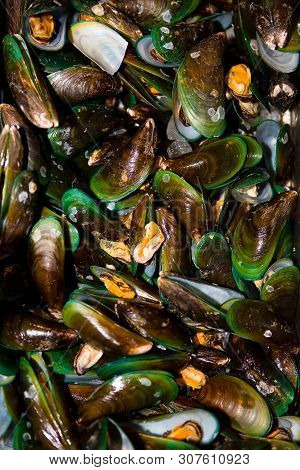 A Lot Of Fresh Mussels Are On The Counter. Exotic Food On The Thailand Market.
