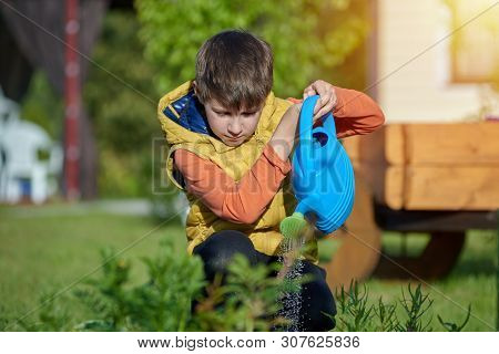 Smiling European Boy Watering Flowers With Water Can On A Croft.