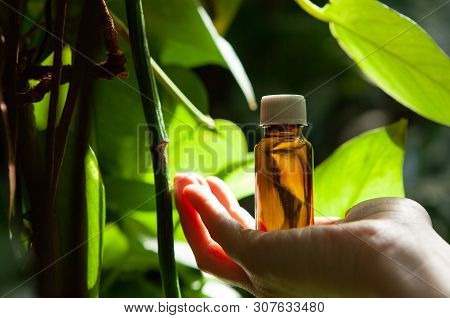 Herbal Medicine - Treaditional Medicine. A Bottle With A Medicine On The Palm Of Your Hand.