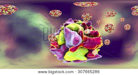 Polioviruses, 360 Degree Vr Spherical Panorama View. An Rna Virus From Picornaviridae Family That Ca