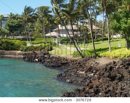 Hawaiian Resort