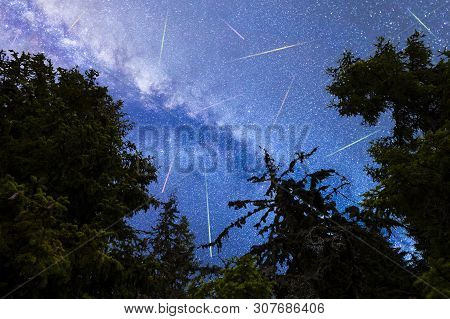 A View Of The Stars Of The Blue Milky Way With Pine Trees Forest Silhouette In The Foreground. Night