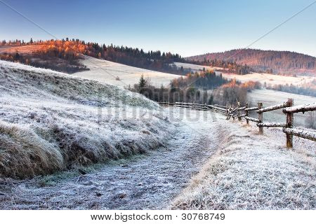 Frosty Morning