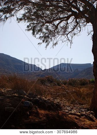 Dessert Road To Karoumes Beach Kreta Island Background Fine Art Prints