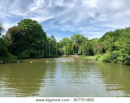 HAMPSTEAD, LONDON - JUNE 1, 2019: The mixed sex bathing ponds on Hampstead Heath in North London, UK.