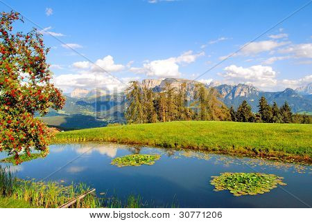 Alpine pool