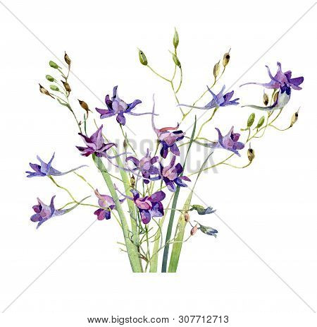 A Small Bouquet Of Watercolor Blue Wild Flowerson A White Background. For Greetings, Invitations, We