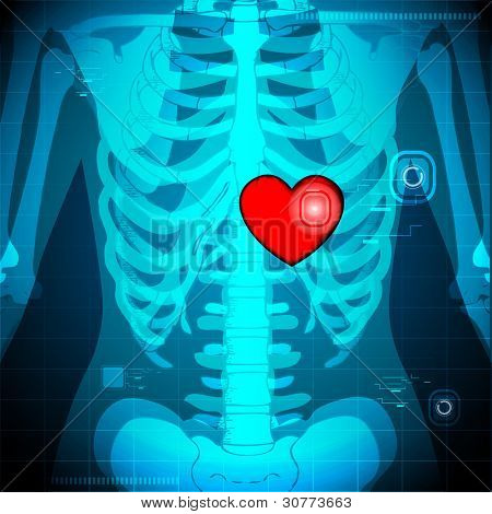 갈비뼈 뒤에 인간의 보여주는 빛나는 마음의 xray의 그림