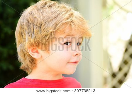 Sly Playful Baby Boy. Funny Child With Cute Hairstyle. Smart Kid With Idea, Sly Look. Children Face.