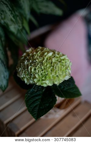 Bouquet Of Flowers On A Leg In The Interior Of The Restaurant For A Celebration Shop Floristry Or We