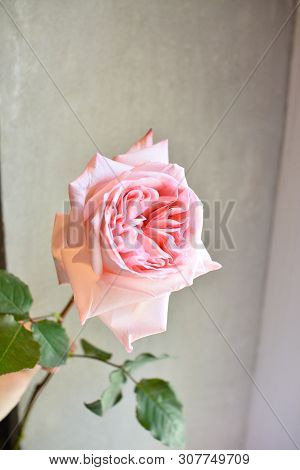 Bouquet Of Flowers On A Leg In The Interior Of The Restaurant For A Celebration Shop Floristry Or We