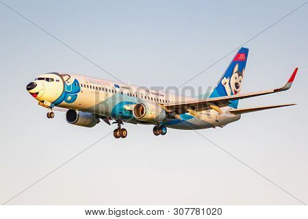 Moscow, Russia - June 20, 2019: Aircraft Boeing 737-8as(wl) Vq-bqt Laika Special Livery Of Nordstar 
