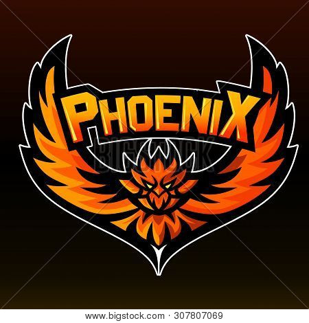 Phoenix Images Illustrations Vectors Free Bigstock