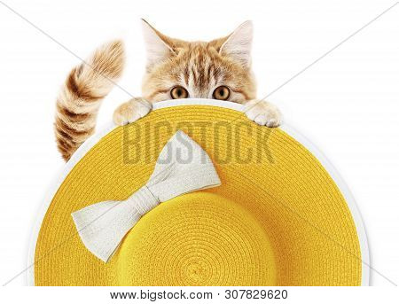 Ginger Funny Cat With Summer Beach Round Straw Yellow Hat With White Bow Isolated On White Backgroun