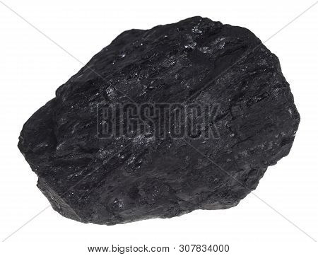 A Piece Of Coal Before Exemptly White Background.