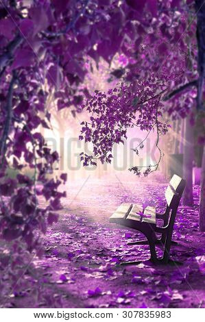 Dreamscape And The Fairy Tale Concept. Sunlight Through The Branches Of Trees And The Mist Of The Mo
