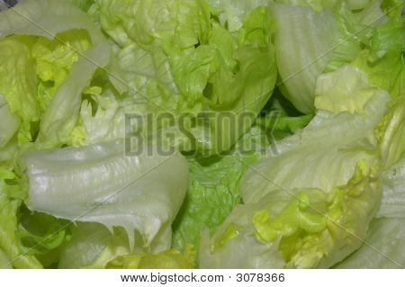 Stockfotografie036