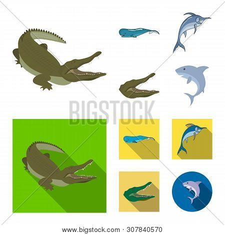 Vector Illustration Of Sea And Ocean Symbol. Set Of Sea And Reptiles Vector Icon For Stock.