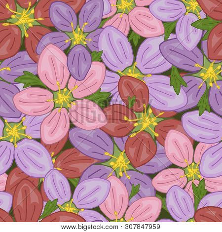 Vector Seamless Retro Pattern, Flowers Saxifrage. Fills, Wallpaper, Surface Textures.
