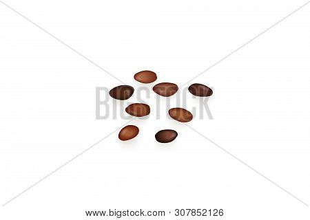 Kernels, Apricot, Flex Seeds, Pods, Nuts, Brown Stones, Isolated On White Background