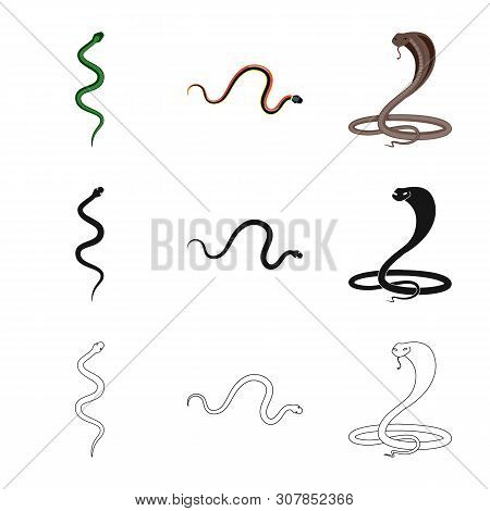 Vector Design Of Mammal And Danger Logo. Set Of Mammal And Medicine Stock Vector Illustration.