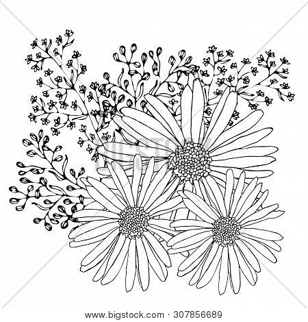 Floral Coloring Template With Black Line Flower