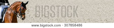 Dressage Horse And Rider In Black Uniform. Horizontal Banner For Website Header Design. Beautiful Ho